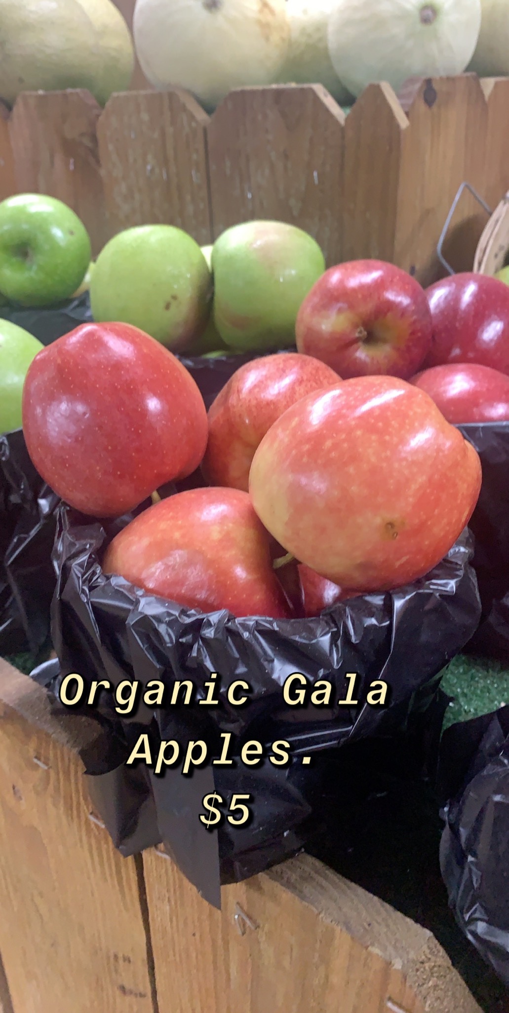 Organic Gala Apples Frisco Fresh Market